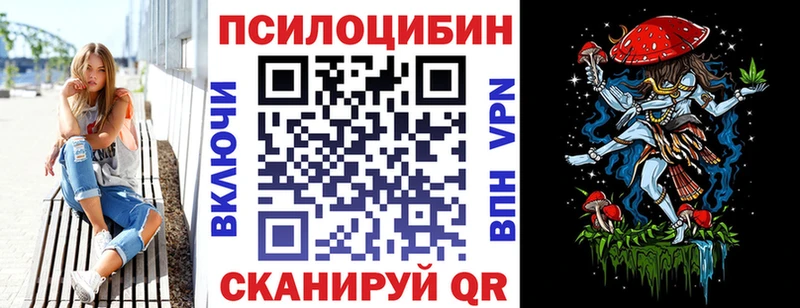 где купить наркоту  Нижний Ломов  Псилоцибиновые грибы Cubensis 